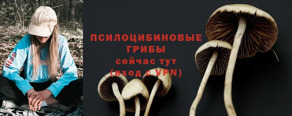 трава Абинск