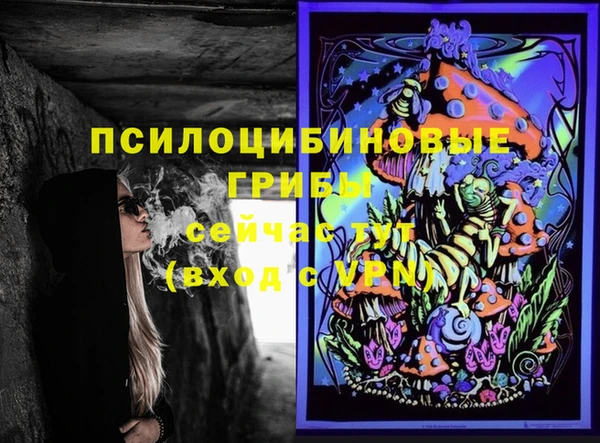 кокс Алексин