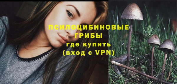 каннабис Алзамай