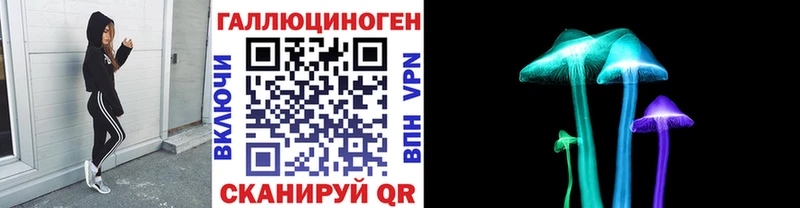 где найти Мещовск Галлюциногенные грибы Magic Shrooms